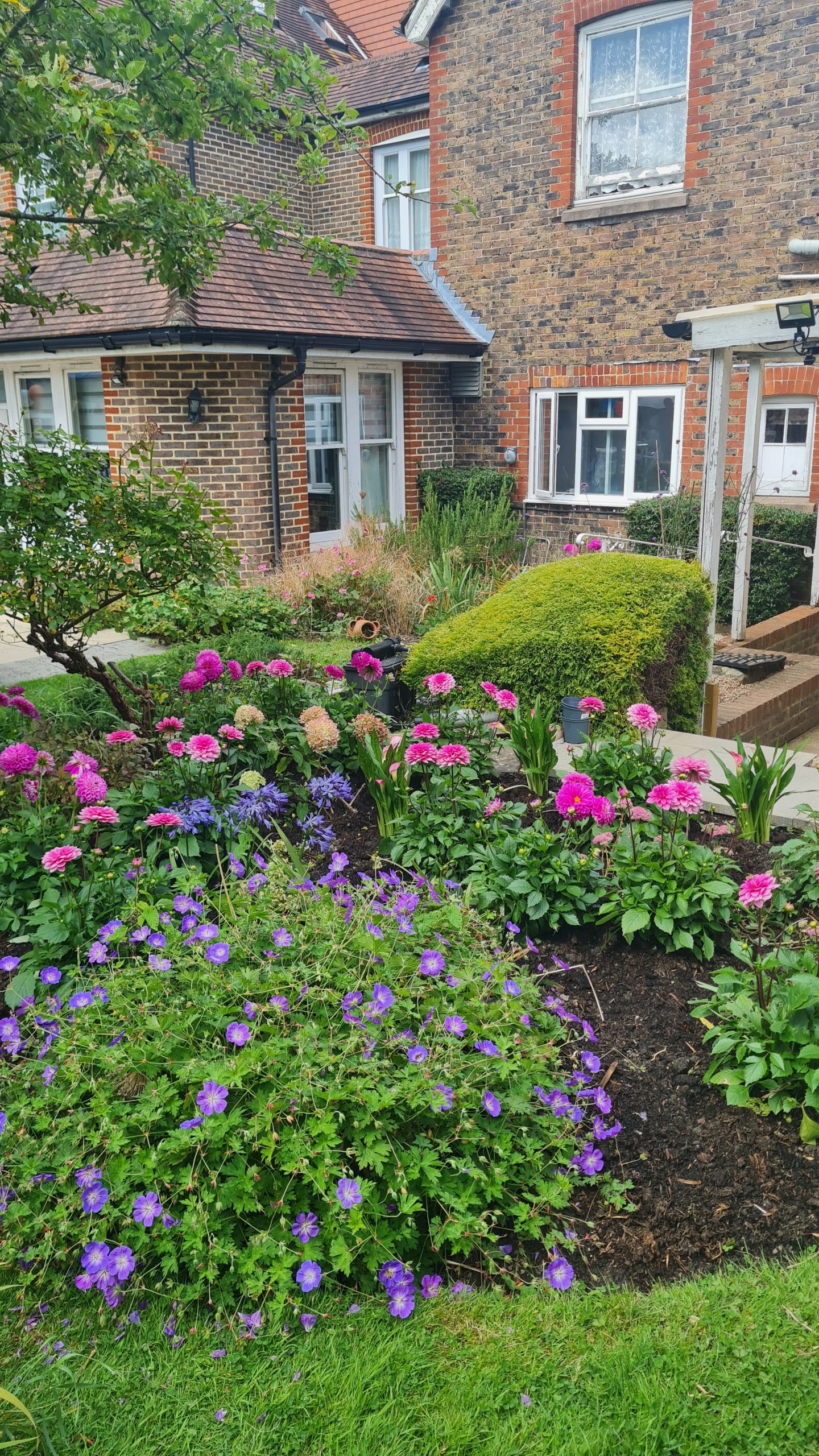 Early Spring Blooms at Ferndale Nursing Home